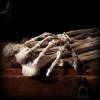 Lidské kosti a ruka